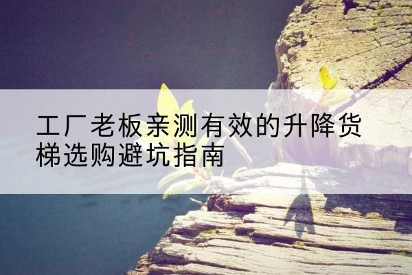 遂昌升降货梯怎么选-工厂老板亲测有效的升降货梯选购避坑指南