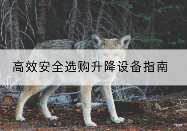 遂昌升降货梯厂家推荐-*安全选购升降设备指南