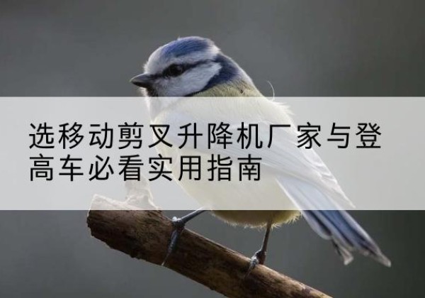 遂昌电动升降机厂家-选移动剪叉升降机厂家与登高车必看实用指南