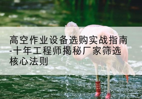 遂昌剪叉式升降机厂家-高空作业设备选购实战指南-十年工程师揭秘厂家筛选核心法则