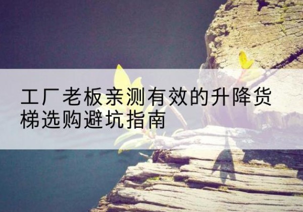 遂昌升降货梯怎么选-工厂老板亲测有效的升降货梯选购避坑指南